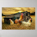 Search for vintage rooster posters Chicken coop