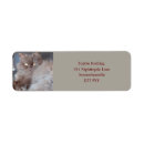 Search for cat return address labels Brown
