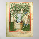 Search for wine barrel posters School