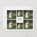 Search for instagram postcards Photography