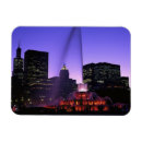 Search for alan magnets Skyline