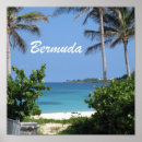 Search for bermuda posters Tropical