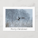 Search for geese christmas cards Xmas