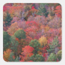 Search for fall scene stickers Outdoors