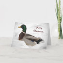 Search for mallard duck christmas cards Bird