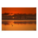 Search for st petersburg florida posters Photography