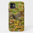 Search for squirrel brown iphone cases Nature