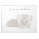 Search for pine marten Canada