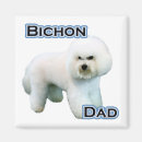 Search for bichons magnets Akc