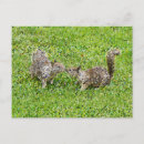 Search for pixelated postcards Digital