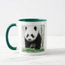 Search for panda baby mugs China