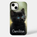 Search for kittens iphone cases Black kitten