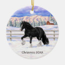 Search for draft horse Gypsy cob