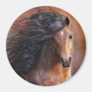 Search for morgans magnets Equine