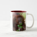 Search for green environment mugs Conservation