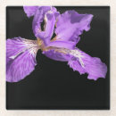 Search for iris coasters Flower