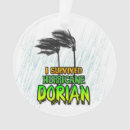 Search for coconut christmas tree decorations Caribbean
