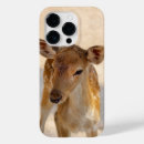 Search for reindeer antlers iphone cases Wildlife