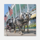 Search for michigan magnets Mackinaw