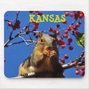 Search for red squirrel mouse mats Nature