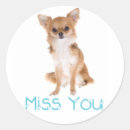 Search for chihuahua puppy stickers Chiwawa