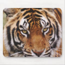 Search for bengal mouse mats Big