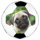 Search for funny footballs Dog