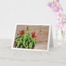 Search for chili cards Food