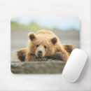 Search for grizzly mouse mats Young animal