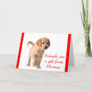 Search for golden puppy cards Friend
