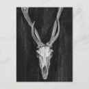 Search for texture vertical postcards Animal