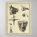 Search for ophthalmology posters Medical