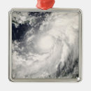 Search for hurricane christmas tree decorations Sea