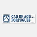 Search for caos Pet