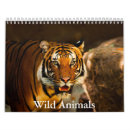 Search for zoo animal calendars Pets