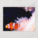 Search for clownfish postcards Sea