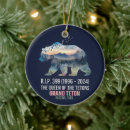 Search for grand christmas tree decorations Nature