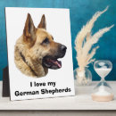 Search for german shepherd photo display Puppy