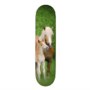 Search for pony skateboards Horse