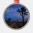 Search for desert christmas tree decorations Nature