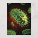 Search for virology Cell biology