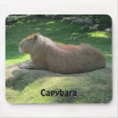 Search for capybara mouse mats Wild
