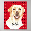Search for labrador retriever posters Pet