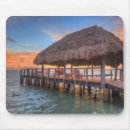 Search for hut mouse mats Seashell