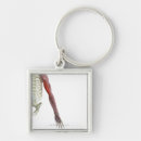 Search for doctors office key rings Human body part