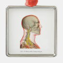 Search for human body part christmas tree decorations People