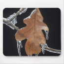 Search for environment electronics Ice
