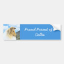 Search for collie dog bumper stickers Rough