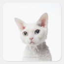 Search for odd stickers Cute