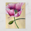 Search for pink poppy postcards Botanical